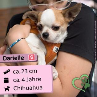 Darielle - schüchtern zurückhaltend
