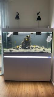 3 Wasserschildkröten Aquarium Technik und Zubehör