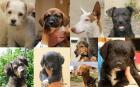 3 Dringend 3 Pflegestellen 3 in 3 NRW 3 gesucht