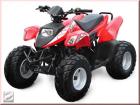 ATV/QUAD 50 100 150 250 ccm