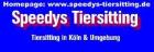 Dogsitter Catsitter Tiersitting in Köln Umgebung