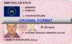 Original-EU-Führerschein