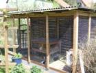 Tiernotstation Gnadenhof und urlaubsbetreung