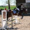 Suche Reitbeteiligung
