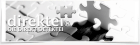 Direktei - DIE DIREKT DETEKTEI - Observation Recherche.
