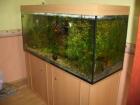Aquarium 670 l l/b/h 160/60/70 Unterschrank Abdeckung zu verkaufen