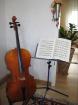 Cello 3/4 sehr guter Zustand zu verkaufen