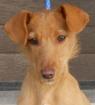 Marianna jetzt geht s los