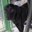 Lola - zeigt sich feinfühlig