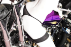 Fotomodel für Girls Bike. Harley Davidson Shooting