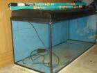 MP Aquarium 160 l 100x40x40