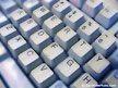 4 Mitarbeiter/innen mit PC-Kenntnissen gesucht