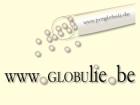 Homöopathie Kurse online bei Globuliebe Lernen leicht gemacht und jede Menge L