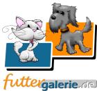 Bestes Futter für Hunde