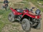 Vermietung Qaud ATV