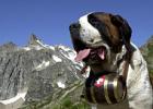 Chance Neustart Werden Sie Vertriebspartner