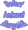 Kölner Autkauf Dagdeviren Sucht Pkws Aller Art Alles Anbieten