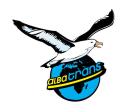 UMZUG ÜBERSIDLUNG ENTRÜMPELUNG AKTION ÖSTERREICH - WIEN www. albatrans. at