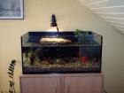 Aquarium 95 x 55 x 46 mit Lochplatte und Pumpe