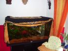 300 liter juwel aquarium schrank