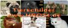 Warnschild Hundewarnschild Metall Warnschild Warnschild Metall