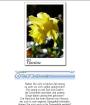 Kostenloses Blumen - Tarot mit Tonausgabe . . . .