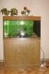 Juwel-Aquarium mit Unterschrank und Fischen