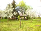 Ungarische Berekfürdö 2 Zimmerhaus mit große Garten 1500m2