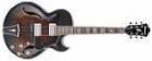 Ibanez AK wie ES175 neuwertig mit Orig. Ibanez Lux skoffer