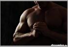 Niveauvoller Escortservice für Sie