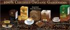 Neustrat in Europa Organo Gold Kaffee der Wellnesskaffee Wir suchen noch Part