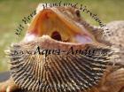 1 2 Bartagame - Pogona vitticeps 150 -Euro Deutscher Name Bartagame Wissensc