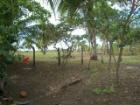 Schönes Grundstück direkt am Strand Guanacaste Costa Rica
