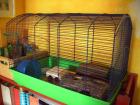Großraum-Hamsterkäfig mit Zubehör