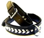 Hundehalsband Leder schwarz mit Nieten schönes Hunde Halsband in Größe S M