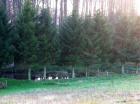 Schön gelegenes Wald- und Wiesengrundstück für Naturliebhaber