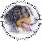 Sie suchen einen süßen Berner Sennen Welpen