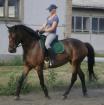 Suche RB Werder Havel / Phöben