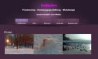 Webdesign Homepagegestaltung Freelancing