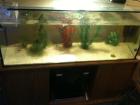 Aquarium 120x40x50 240l Unterschrank 2 AXOLOTL