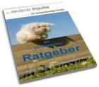Durchfall beim Hund