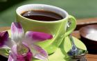 Zum Wunschgewicht mit Nature s Immune Grüner Kaffee