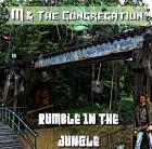 M The Congregation suchen Bassisten