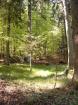 Waldgrundstück Wald Mischwald nähe Freyung zu tauschen