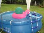 Schwimmbad mit allen Zipp und Zapp