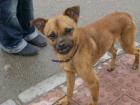 Kleiner Coco sucht seine Familie