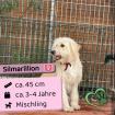 Silmarillion w 3-4 Jahre 45 cm Slowakei