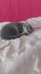 BKH Kitten aus Nürnberg
