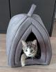 Niedliche Kitten männlich getigert 4 Monate