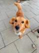 Diggory - kinderlieb sozial freundlich